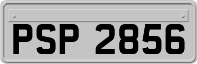 PSP2856