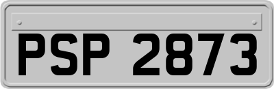 PSP2873