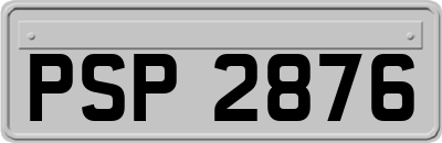 PSP2876