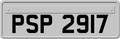 PSP2917