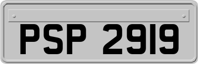 PSP2919