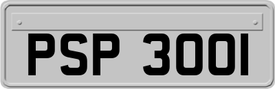 PSP3001