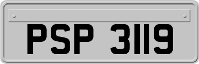 PSP3119