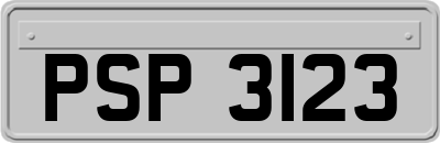 PSP3123