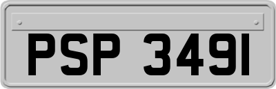 PSP3491