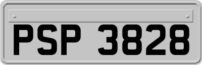 PSP3828