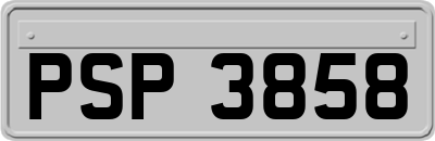 PSP3858