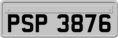 PSP3876