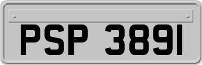 PSP3891