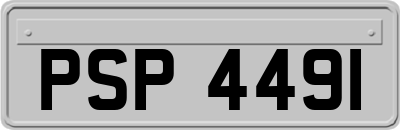 PSP4491