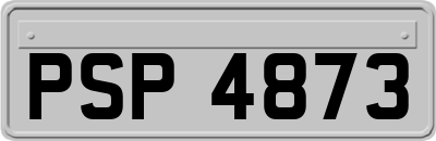 PSP4873