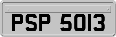 PSP5013