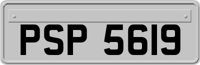 PSP5619