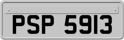 PSP5913