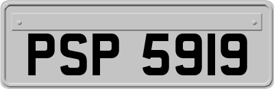 PSP5919