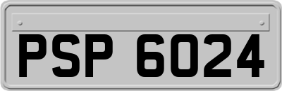 PSP6024