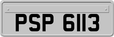 PSP6113