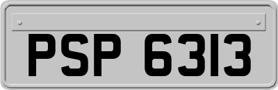 PSP6313