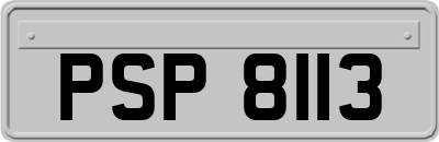 PSP8113