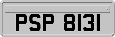 PSP8131