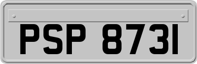 PSP8731