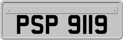 PSP9119