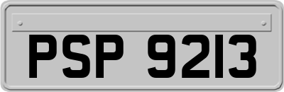 PSP9213