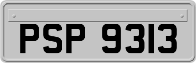 PSP9313