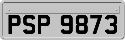 PSP9873
