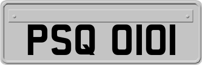 PSQ0101