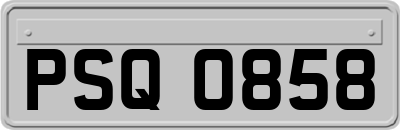 PSQ0858