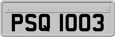 PSQ1003