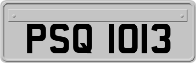 PSQ1013
