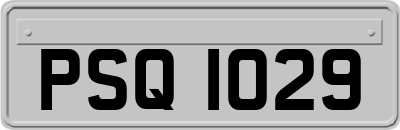 PSQ1029