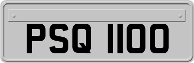 PSQ1100