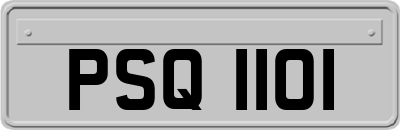 PSQ1101