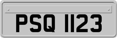 PSQ1123