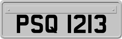 PSQ1213