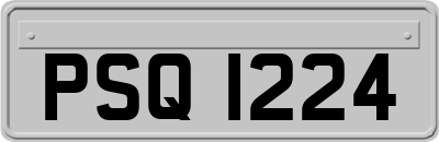 PSQ1224