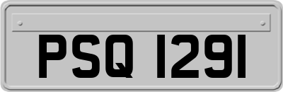 PSQ1291