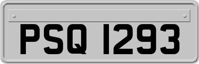PSQ1293