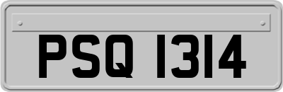 PSQ1314