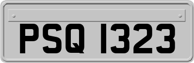 PSQ1323