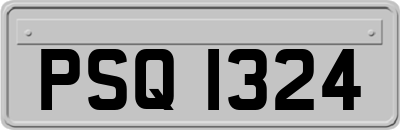 PSQ1324
