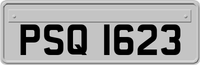 PSQ1623