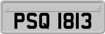 PSQ1813