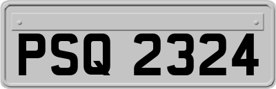 PSQ2324