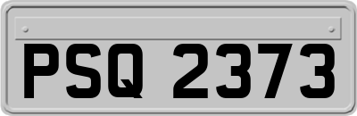 PSQ2373