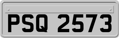 PSQ2573