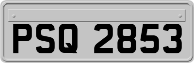PSQ2853